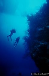 This is one of my favorite WA shots. Large coral pillars ... by Mike Smith 